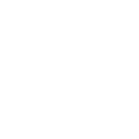 policy-icon